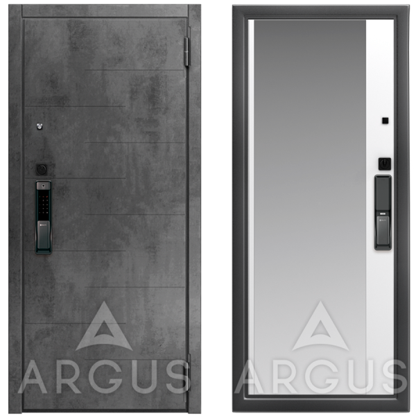 Дверь Argus Smart Никсон Бетон темный / Антик серебро Магнум