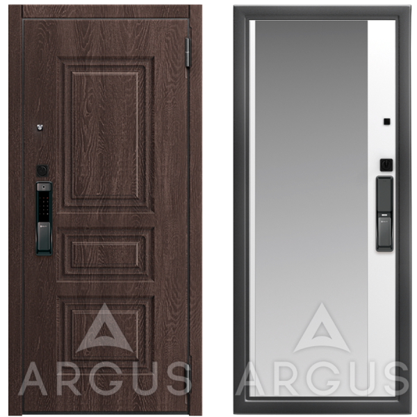 Дверь Argus Smart Скиф Филадельфия шоколад / Антик серебро Магнум