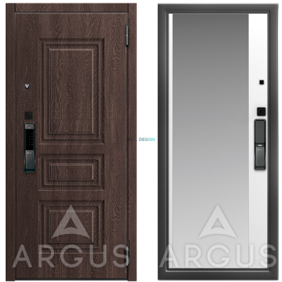 Дверь Argus Smart Скиф Филадельфия шоколад / Антик серебро Магнум