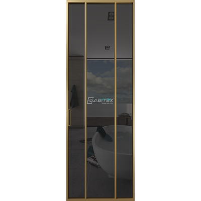 Дверь алюминиевая GABITEX 17 GREY│GOLD MATT Дверь алюминиевая GABITEX 17 GREY│GOLD MATT