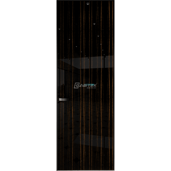 Дверь Gabitex 02 Eben shiny