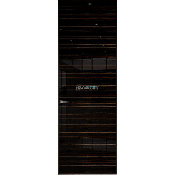 Дверь Gabitex 01 Eben shiny