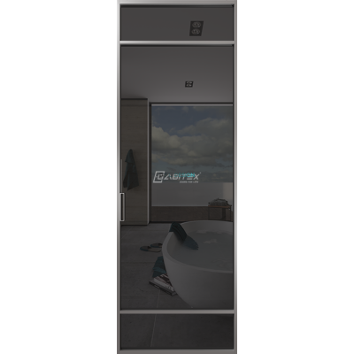 Дверь алюминиевая GABITEX 04 GREY│CHROME MATT Дверь алюминиевая GABITEX 04 GREY│CHROME MATT