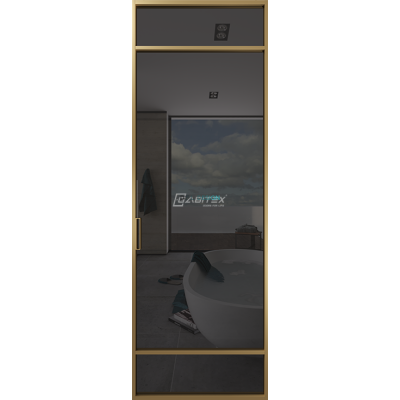 Дверь алюминиевая GABITEX 04 GREY│GOLD MATT Дверь алюминиевая GABITEX 04 GREY│GOLD MATT